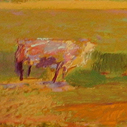 Cows