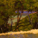 bolinas 3