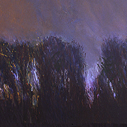 Night Tree Line