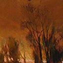 Night Tree Line 2