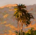 Petaluma Palms